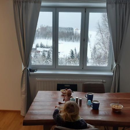 Apartman U Kunstatskeho Mlyna Orlicke Zahori エクステリア 写真