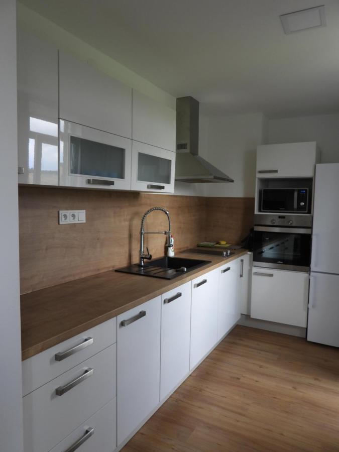 Apartman U Kunstatskeho Mlyna Orlicke Zahori エクステリア 写真