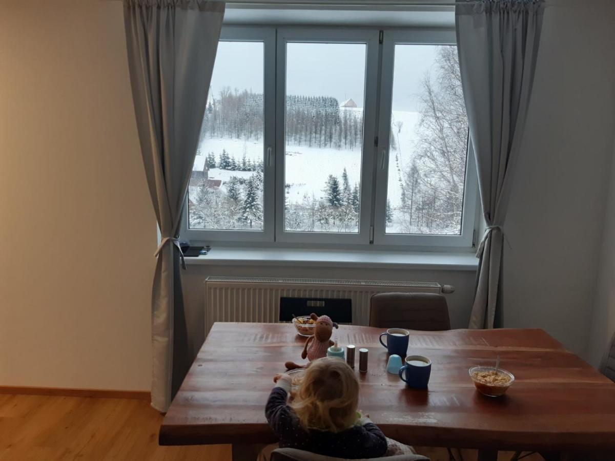 Apartman U Kunstatskeho Mlyna Orlicke Zahori エクステリア 写真