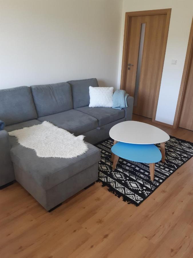 Apartman U Kunstatskeho Mlyna Orlicke Zahori エクステリア 写真