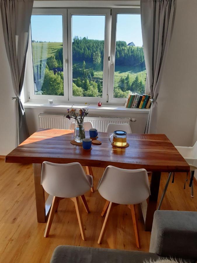 Apartman U Kunstatskeho Mlyna Orlicke Zahori エクステリア 写真
