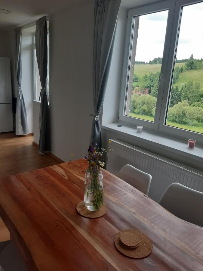 Apartman U Kunstatskeho Mlyna Orlicke Zahori エクステリア 写真