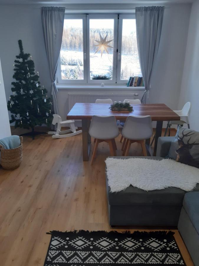 Apartman U Kunstatskeho Mlyna Orlicke Zahori エクステリア 写真