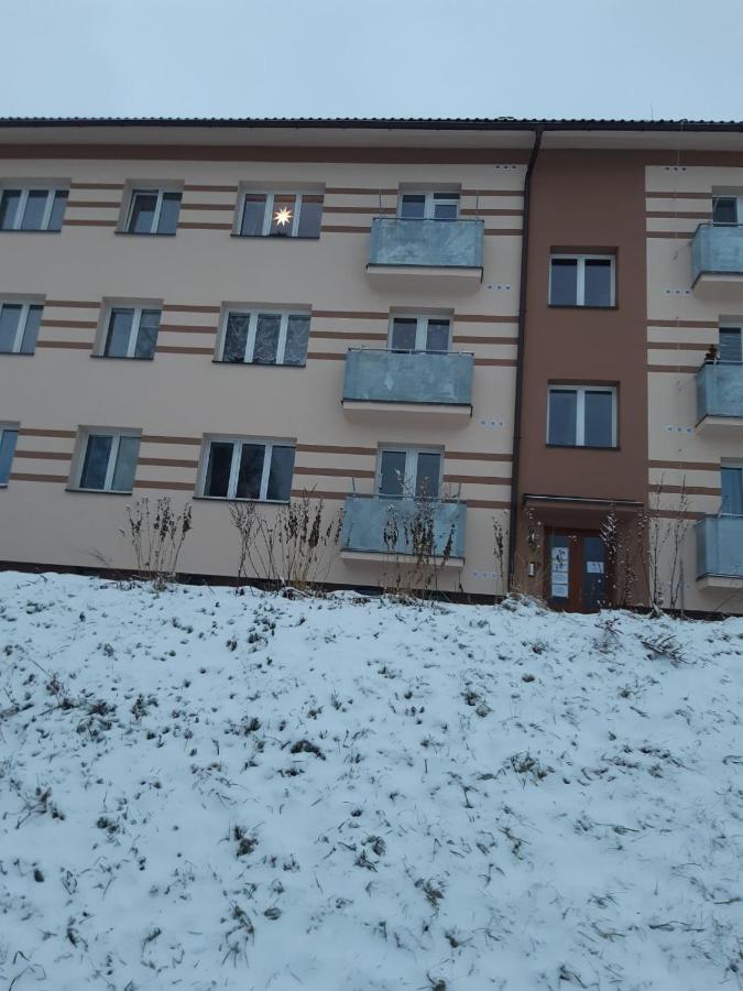 Apartman U Kunstatskeho Mlyna Orlicke Zahori エクステリア 写真