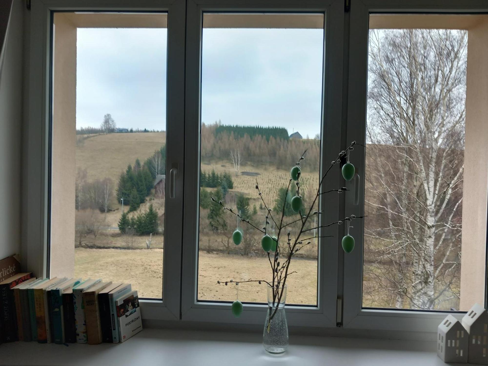Apartman U Kunstatskeho Mlyna Orlicke Zahori エクステリア 写真